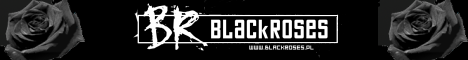 BR banner