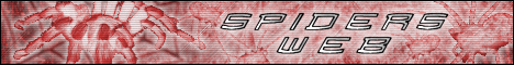 SW banner